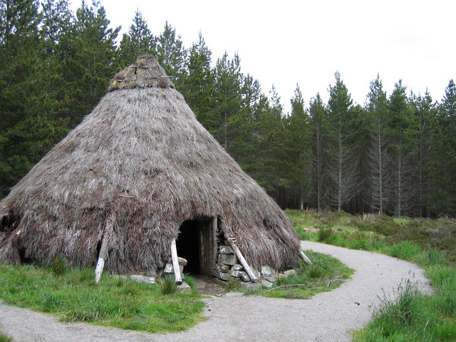 Abriachan community forest - geograph.org.uk - 509472