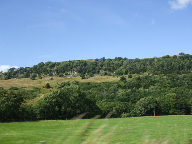 Applegarth Scar - geograph.org.uk - 1412064