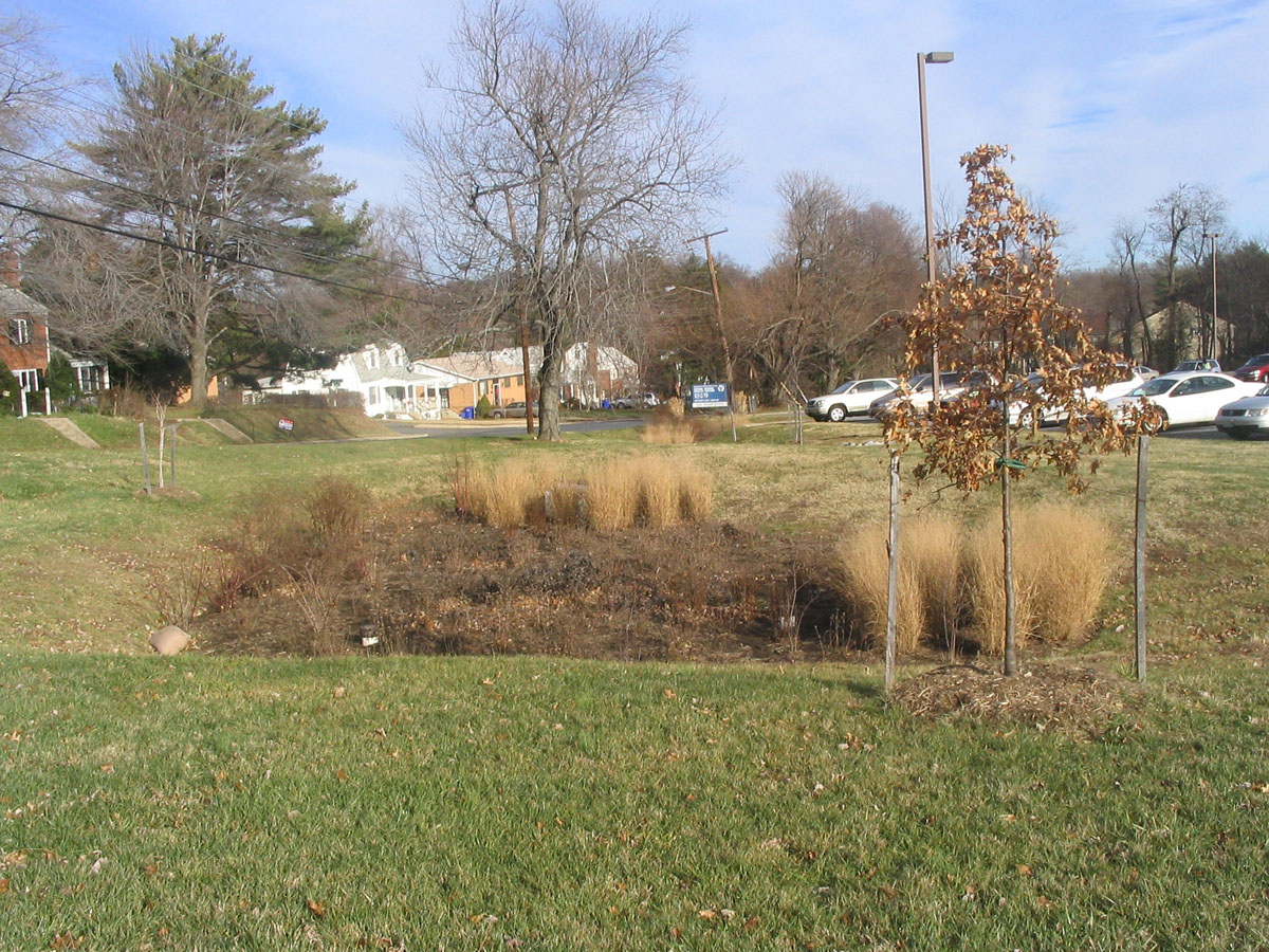 Rain Garden - Virginia Association of Soil and Water Conservation Districts