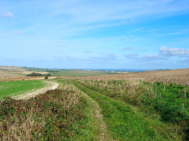 File:Bridleway, Falmer Hill - geograph.org.uk - 62988.jpg