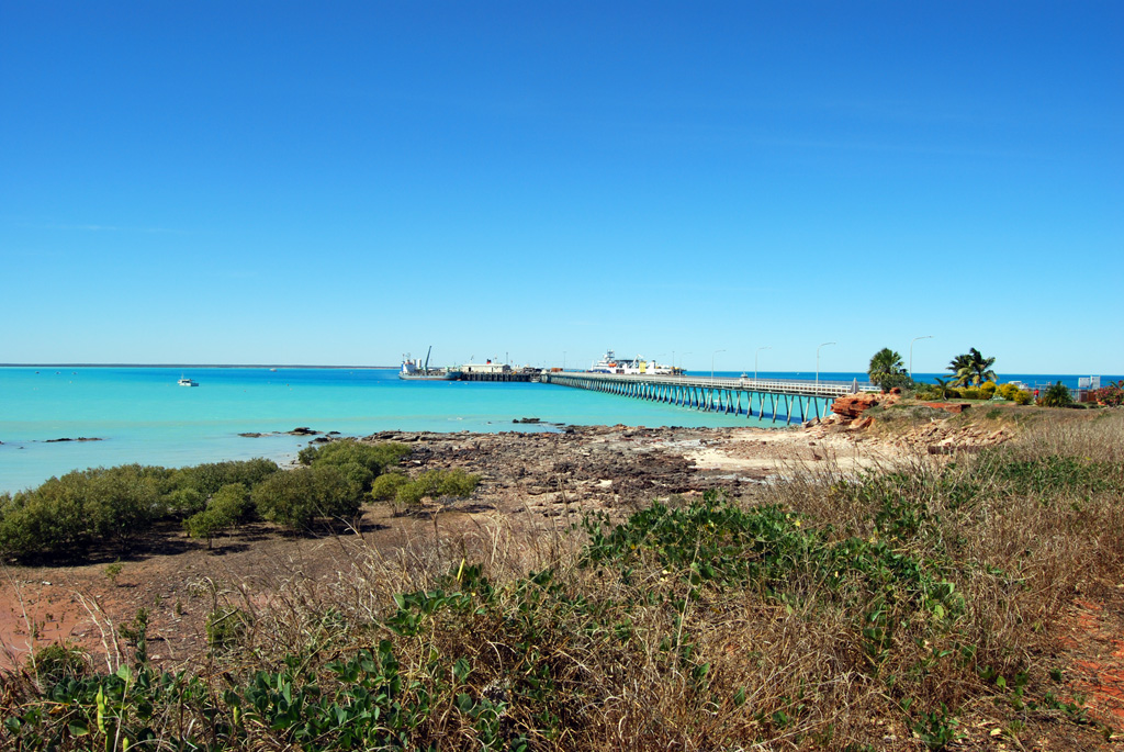 Full article: The Dinosaurian Ichnofauna of the Lower Cretaceous  (Valanginian–Barremian) Broome Sandstone of the Walmadany Area (James Price  Point), Dampier Peninsula, Western Australia