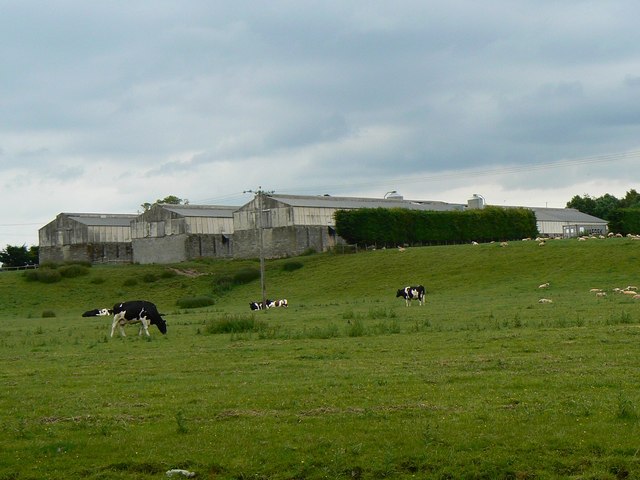 File:Cattle, sheep and poultry - geograph.org.uk - 1935046.jpg