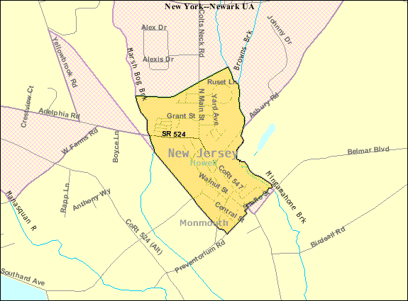 File:Census Bureau map of Farmingdale, New Jersey.png