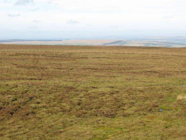 File:Coanwood Common - geograph.org.uk - 2140707.jpg