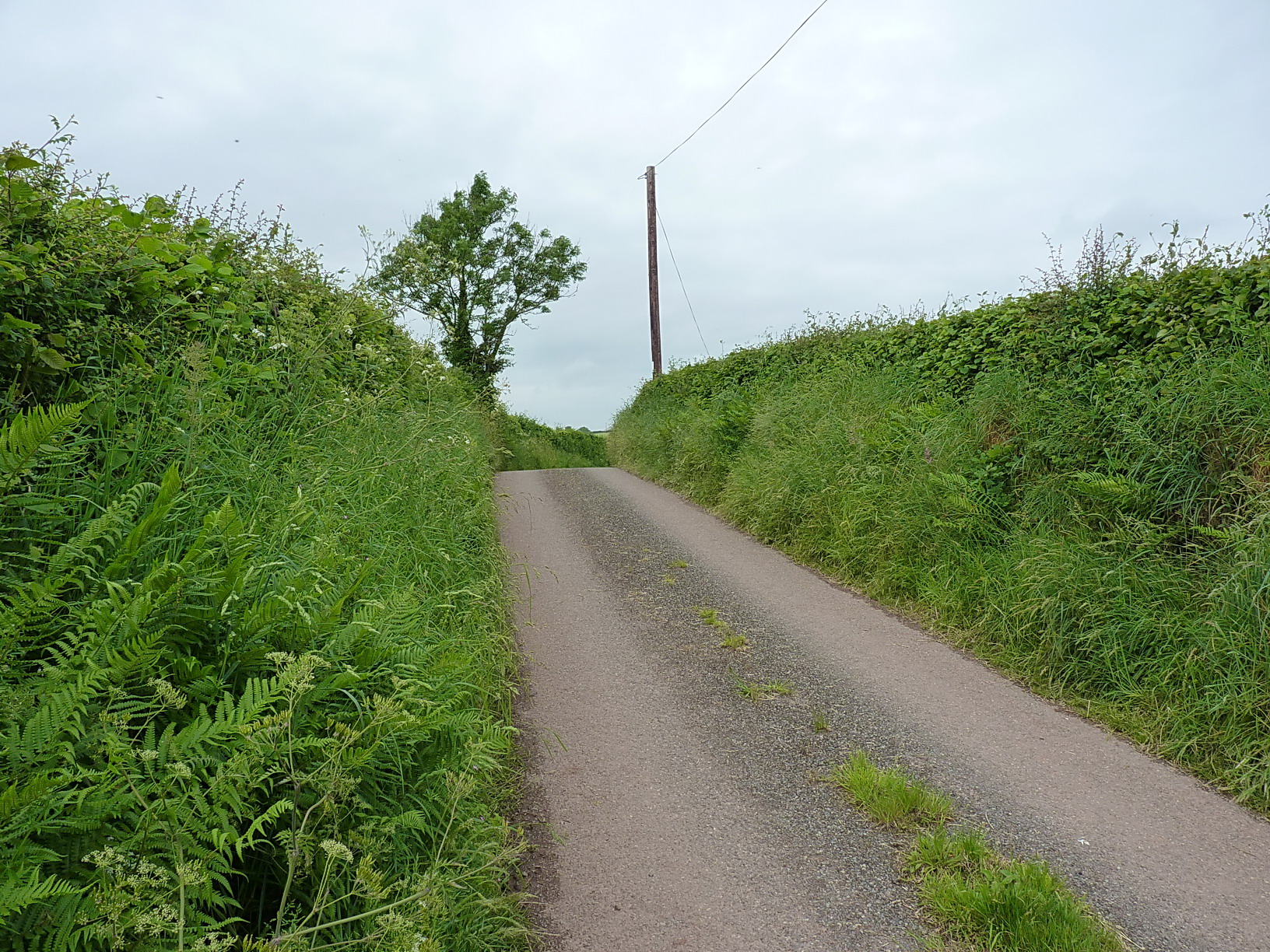 File:Country lane north of Ty-llwyd - geograph.org.uk - 5418021.jpg -  Wikimedia Commons