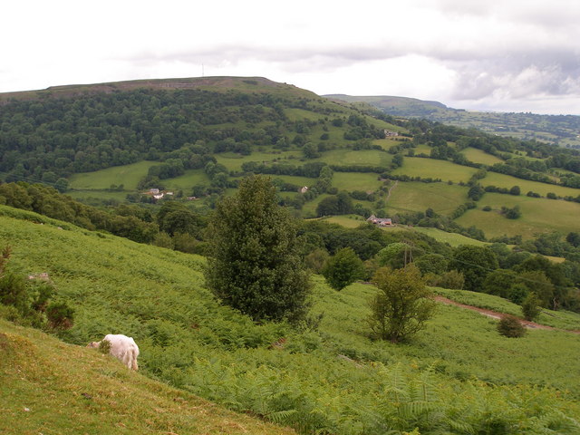 File:Downhill towards The Tumble - geograph.org.uk - 470317.jpg