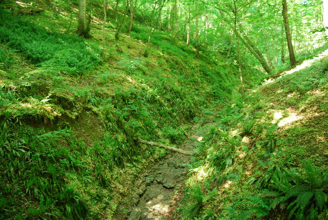 Dry stream bed, Dyke Wood - geograph.org.uk - 1914708