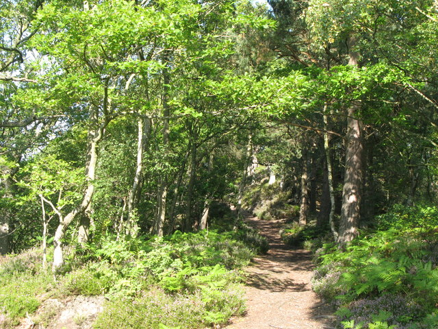 Footpath to Staward Peel (2) - geograph.org.uk - 2073850