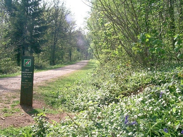 Forest Fawr, nr Tongwynlais - geograph.org.uk - 410438