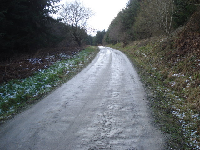 File:Forestry track in Hopton Wood - geograph.org.uk - 654090.jpg