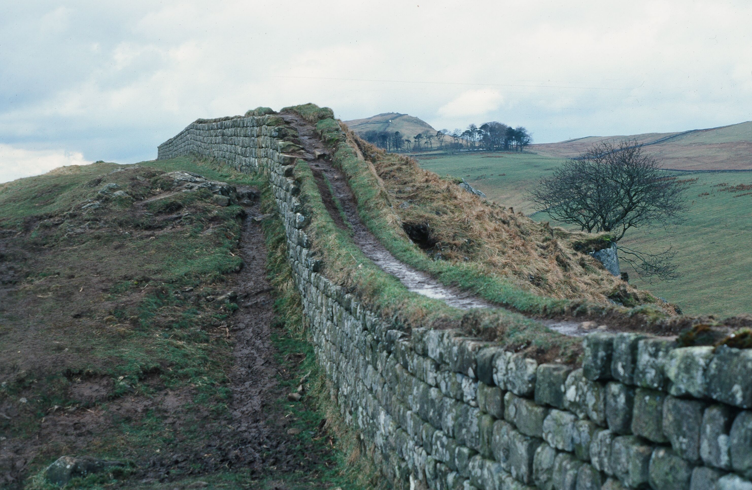 Стена 6. Вертикальные обои вал Адриана. Hadrian6 tumblr.