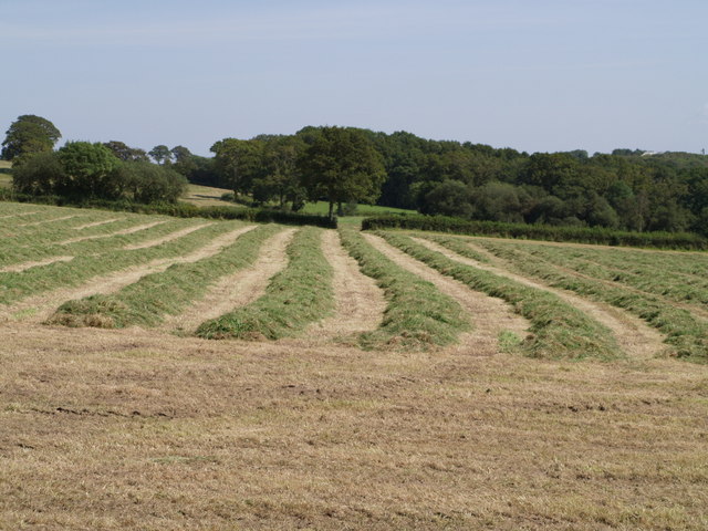 File:Hay drying near Keyethern Farm - geograph.org.uk - 536970.jpg