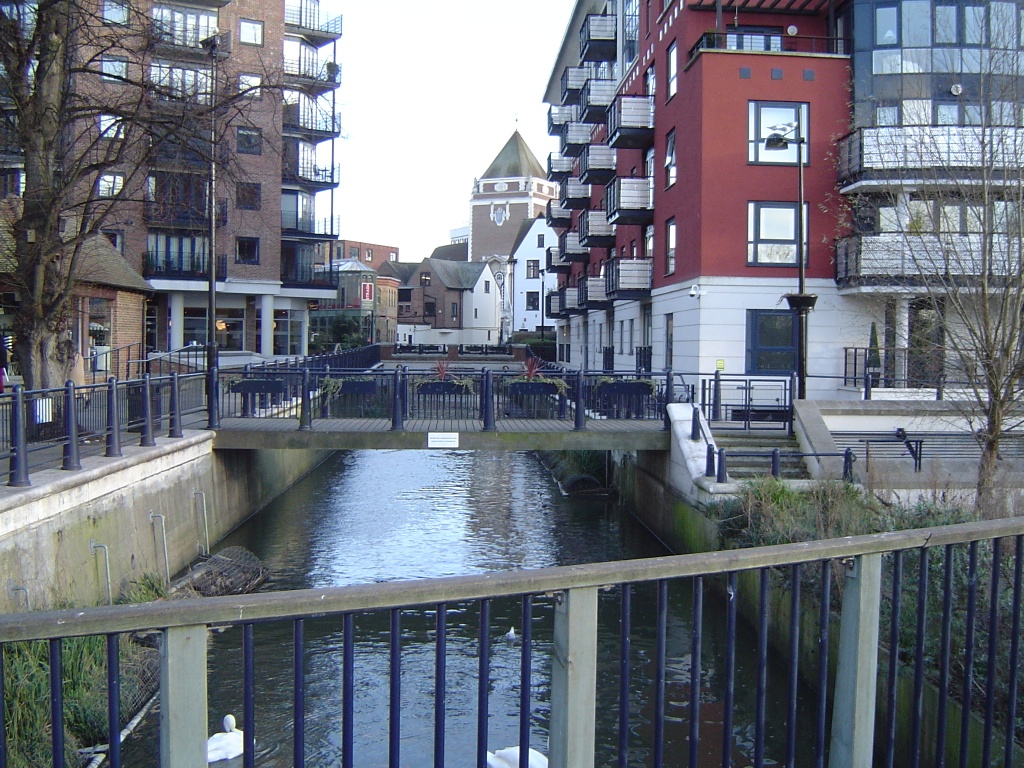 Hogsmill River