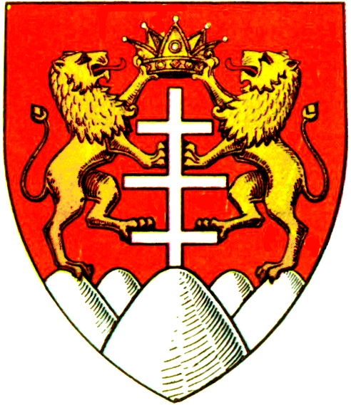 File:Interbelic Suceava County CoA.png