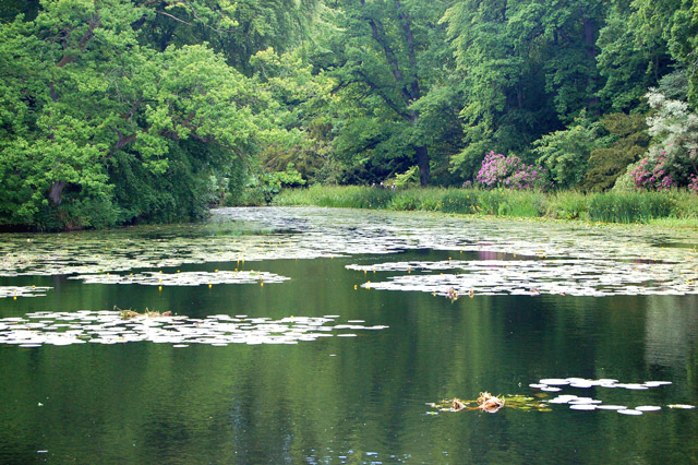 File:Lake in East Wood, Wallington - geograph.org.uk - 1391575.jpg