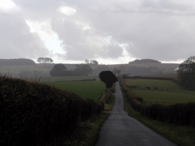 File:Long Walk, south of Easton - geograph.org.uk - 122076.jpg