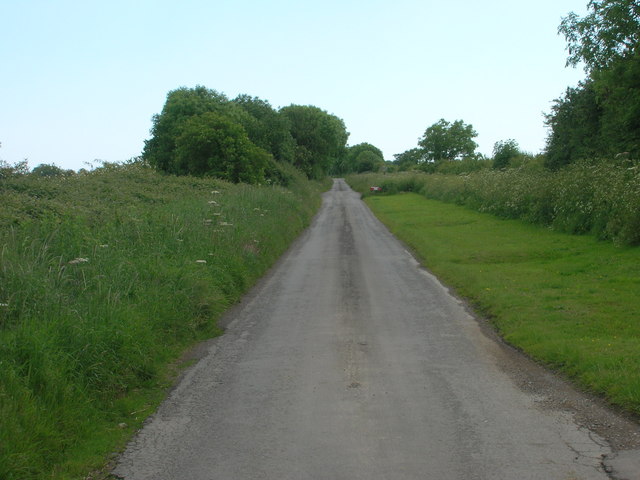 File:Minor Road Towards Rotsea - geograph.org.uk - 1351516.jpg