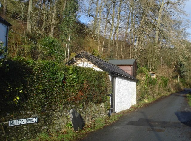 File:Mutton Dingle lane at New Radnor - geograph.org.uk - 680386.jpg