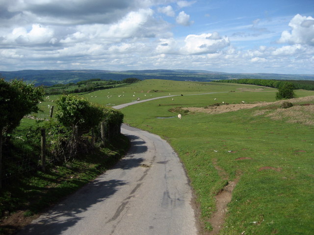 On the road from Gospel Pass - geograph.org.uk - 442289