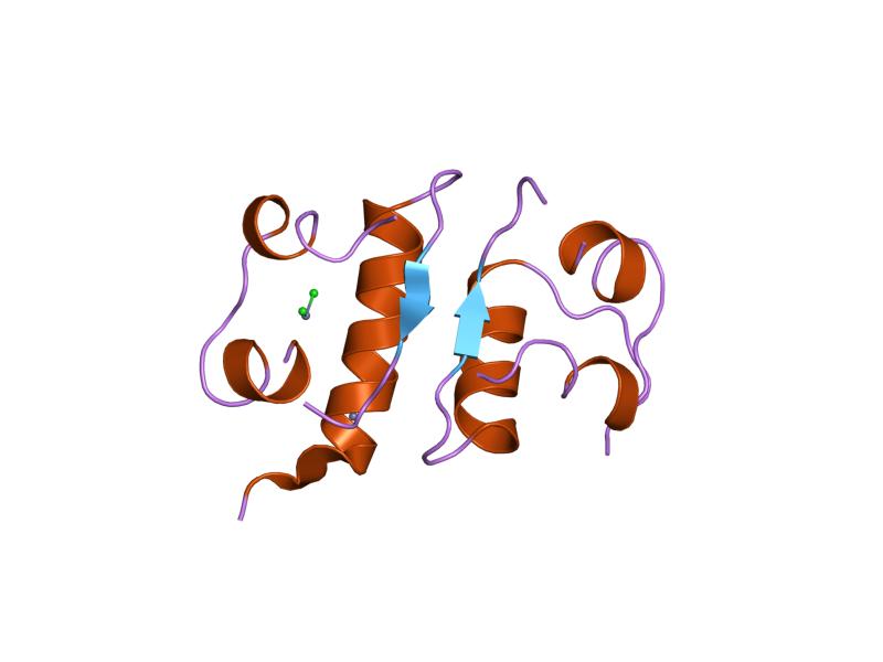 File:PDB 1zni EBI.jpg