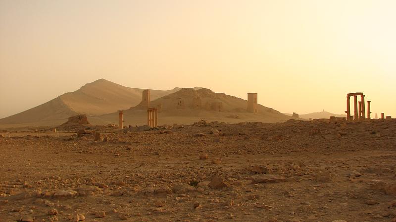 File:Palmyra (2599951915).jpg