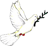 File:Peace dove.png