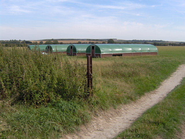File:Pig housing near Ridgeway Farm - geograph.org.uk - 238704.jpg