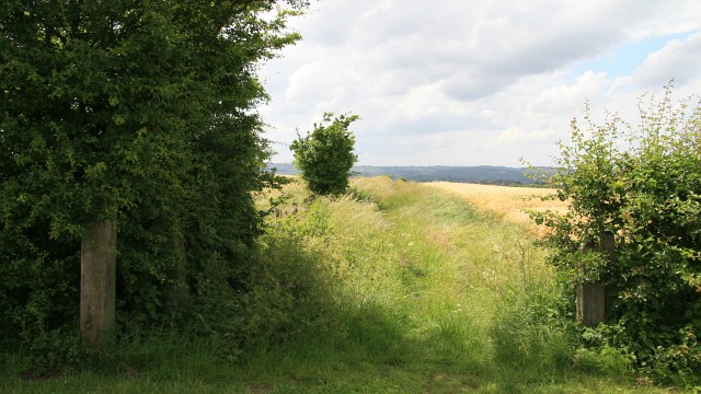 File:Public footpath - geograph.org.uk - 611832.jpg