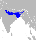 Range map Ganges shark.png