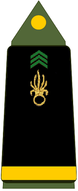 File:Grade L'armée de terre la Legion Etrangere.jpg - Wikimedia Commons