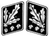 Bestand:SS-Oberst-Gruppenfuhrer collar.jpg