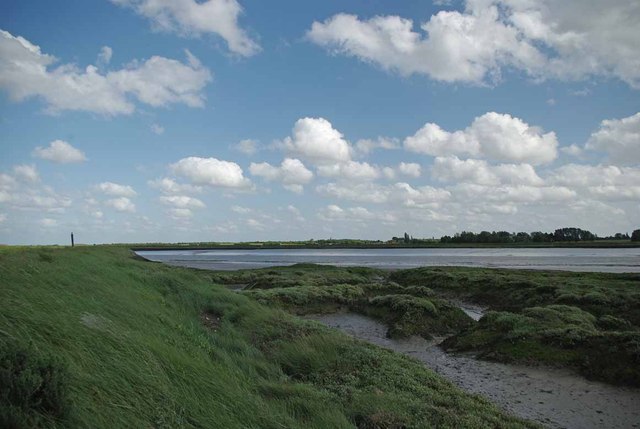 Salt-marsh Pagelsham Reach - geograph.org.uk - 2997455