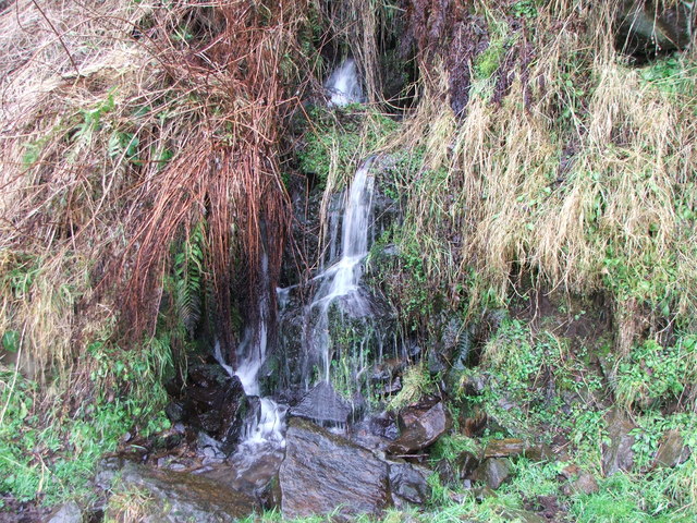 Small Waterfall on Braes of Gight - geograph.org.uk - 1106893