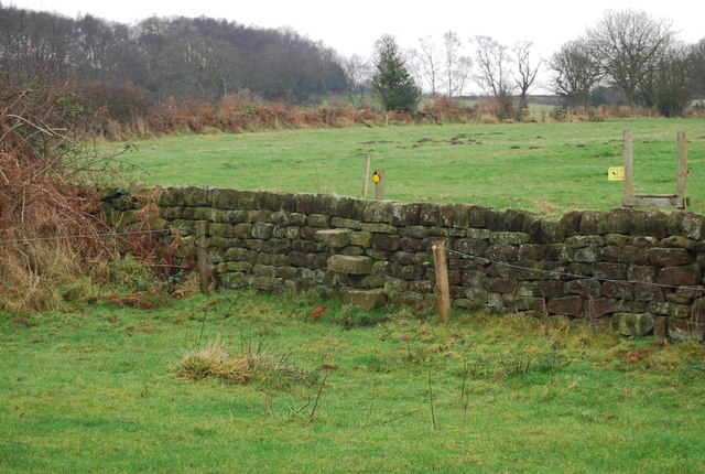 File:Stile over a wall - geograph.org.uk - 700038.jpg