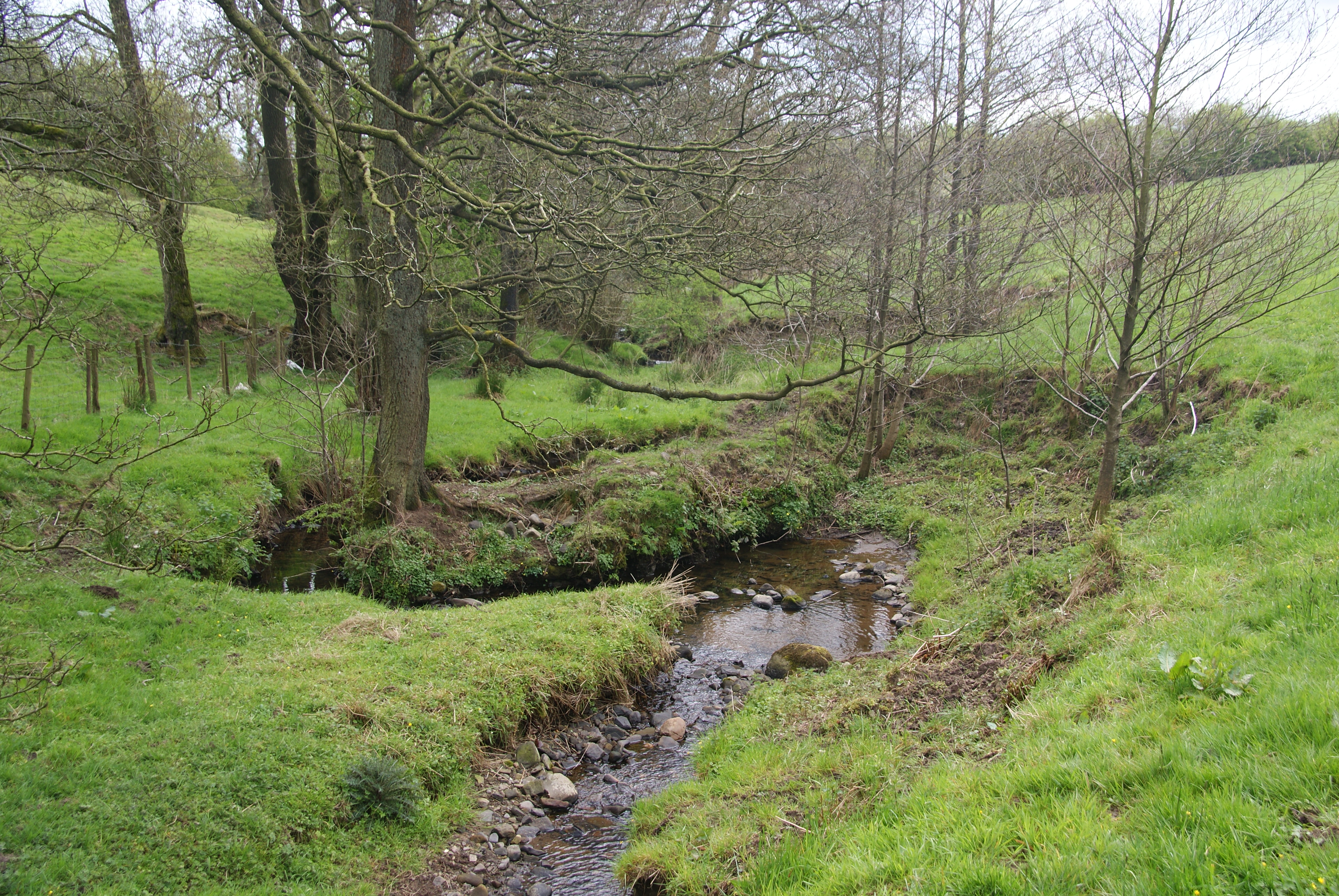 Stydd Brook