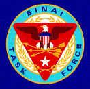 <span class="mw-page-title-main">Task Force Sinai</span>