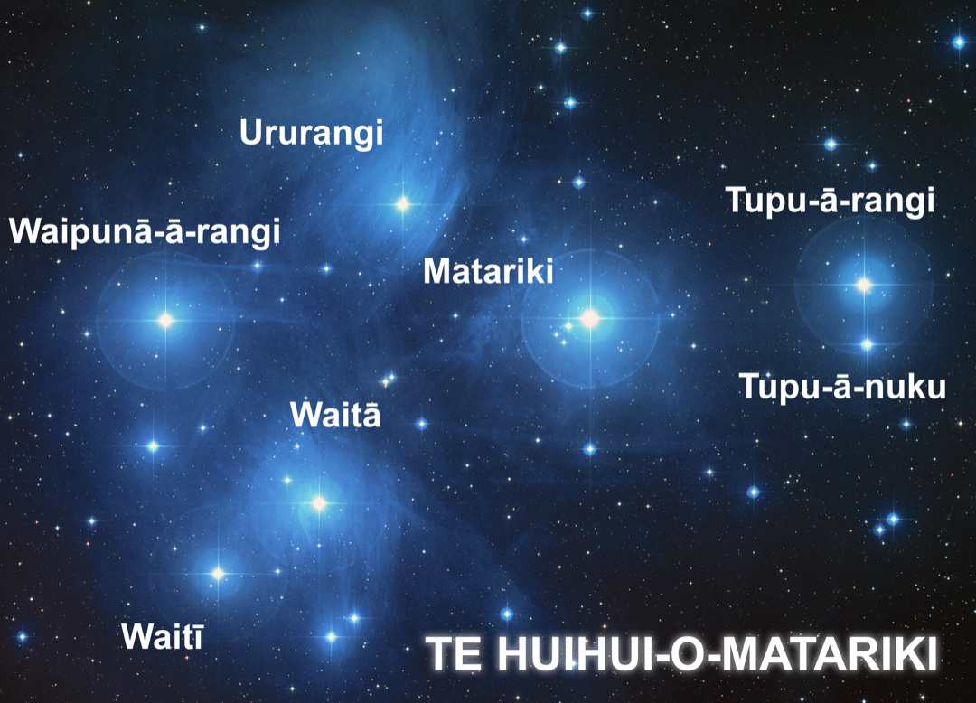 Image result for matariki