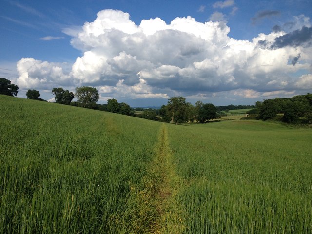 File:Towards Gumley Lodge - geograph.org.uk - 5008485.jpg