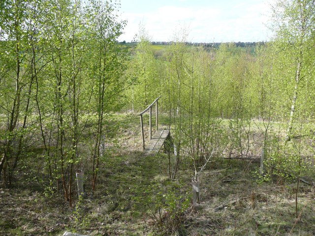 View from a seat, New Hall Wood plantation, Midgley, Sitlington - geograph.org.uk - 787526