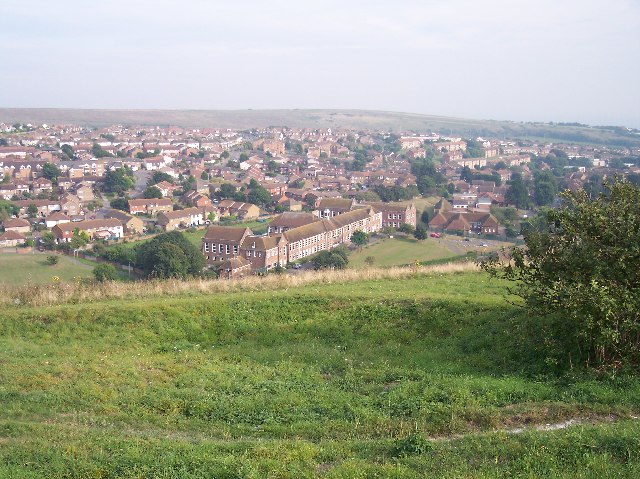 Whitehawk