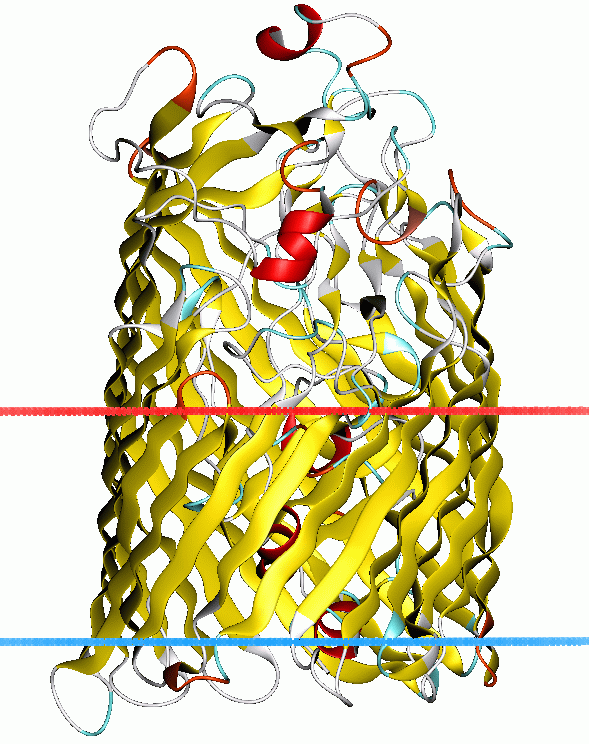 Outer membrane receptor