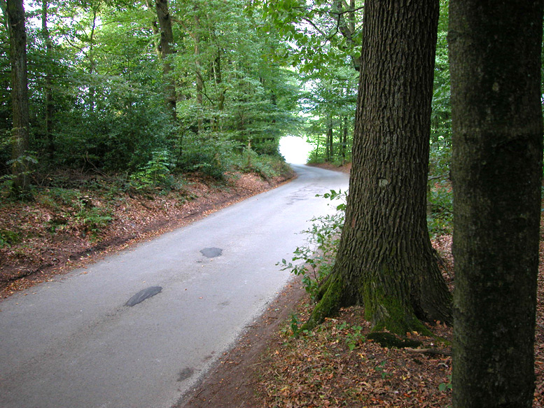 File:3.20 km ForstsJakobsweg.jpg