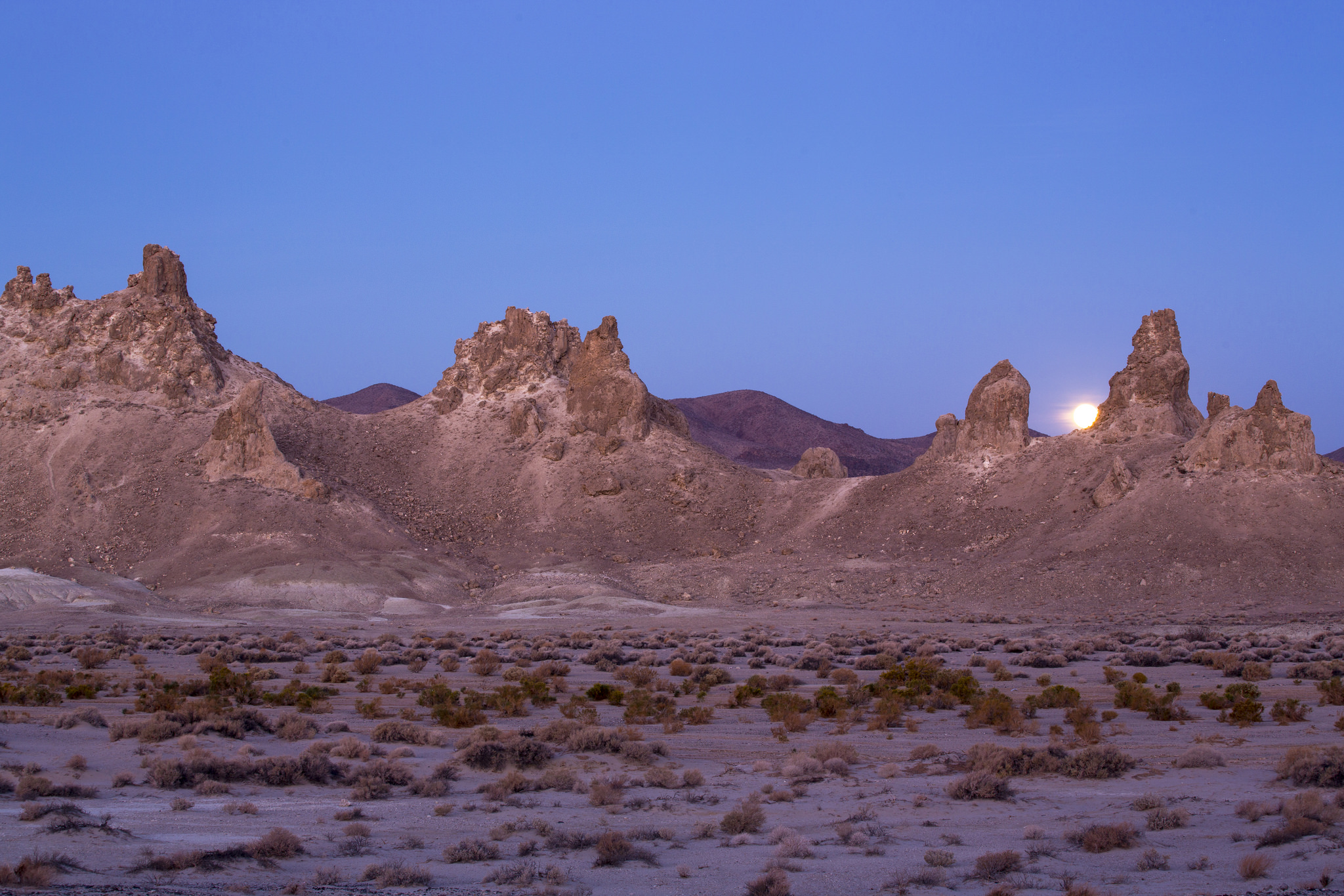 Discovering the Extraordinary Formations at The Pinnacles Desert