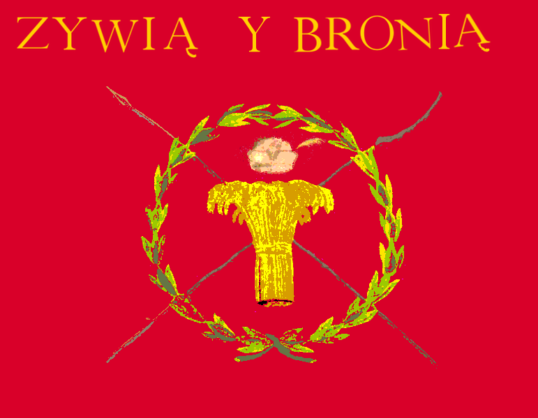 File:Banner of Kosciuszko Uprising flat.PNG