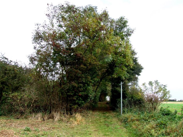 File:Bridleway to Haugh - geograph.org.uk - 581088.jpg