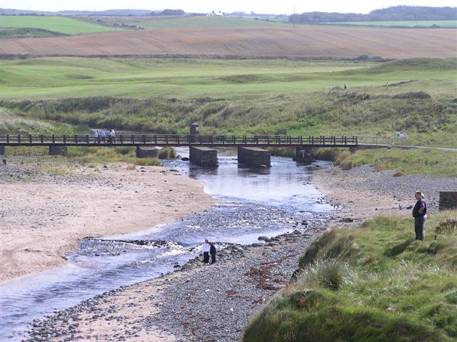 File:Bushfoot - geograph.org.uk - 222946.jpg