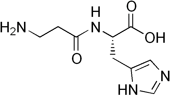 File:Carnosine.png