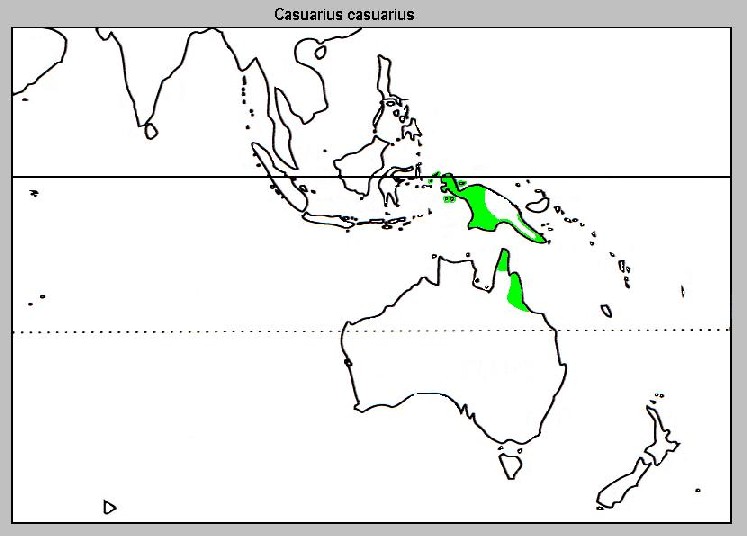 File:Casuariuas casuarius Distribution map.jpg