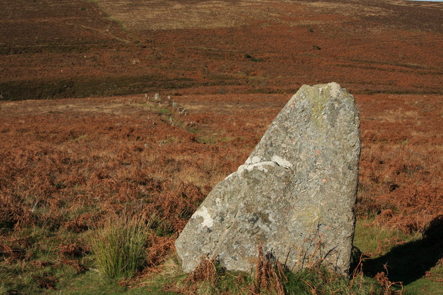 File:Challacombe standing stone - geograph.org.uk - 1531713.jpg