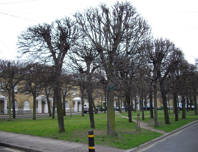 Файл:Courtenay Square - geograph.org.uk - 1182357.jpg